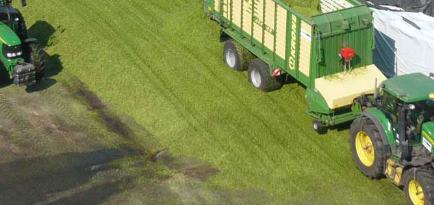 Biogas-head-3-Gruenroggen